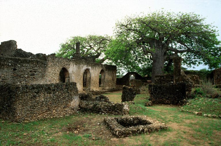 Takwa Ruins Lamu